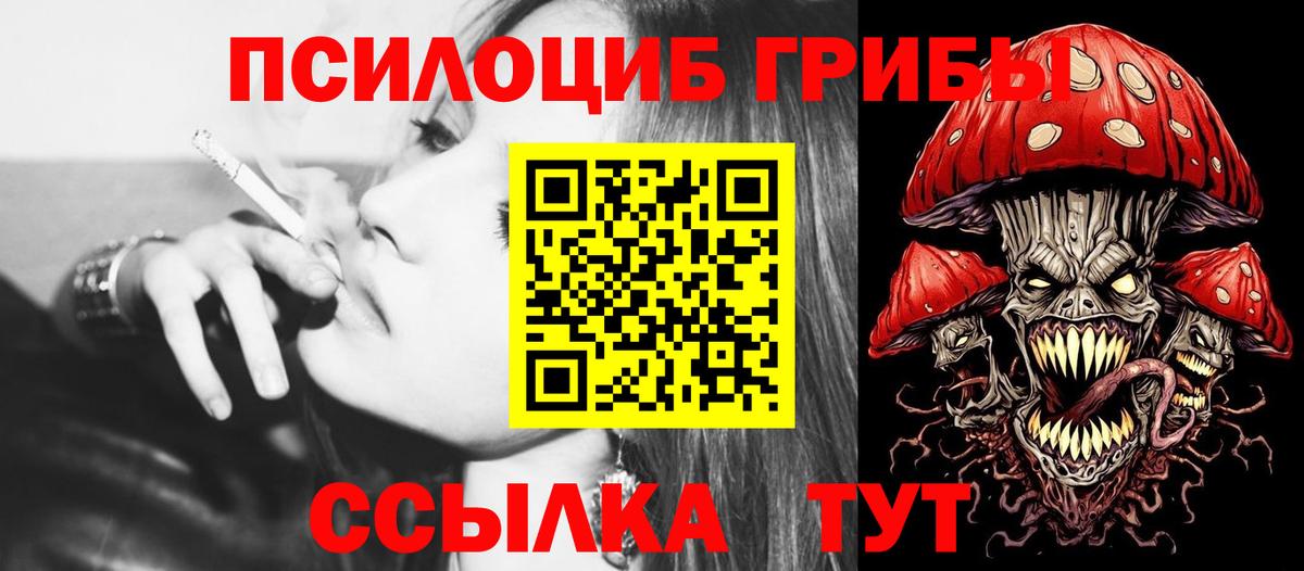 Галлюциногенные грибы Psilocybe Выкса