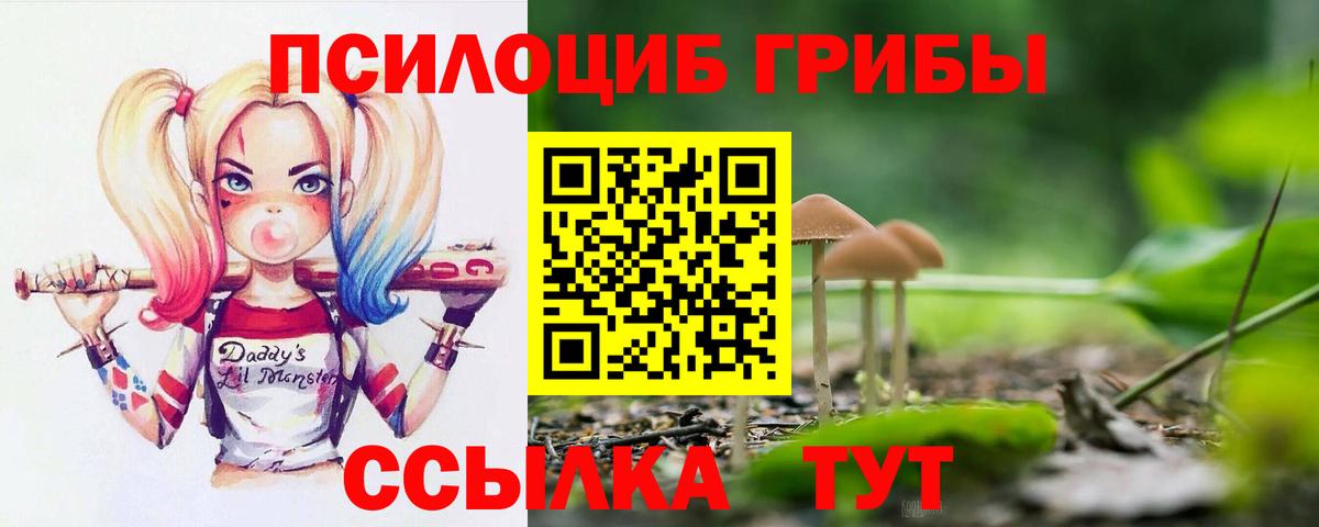 Выкса  Галлюциногенные грибы мицелий  Вход с VPN 